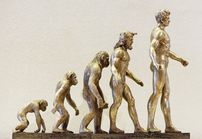Digital Evolution